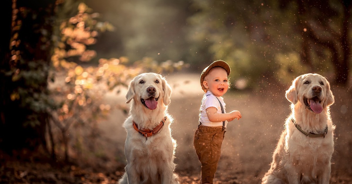 Фотографии Детей Собак