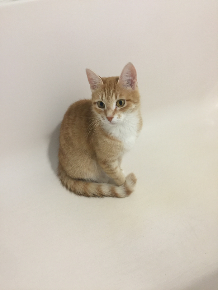 � ���� �������!