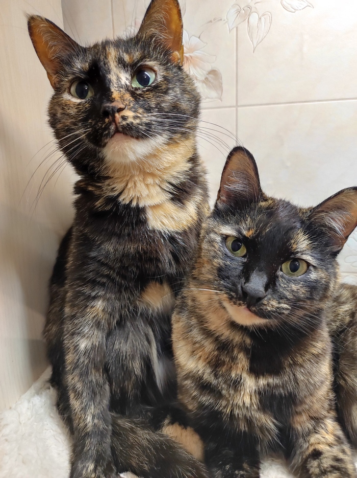 ��� ���� ���� �������� � �����