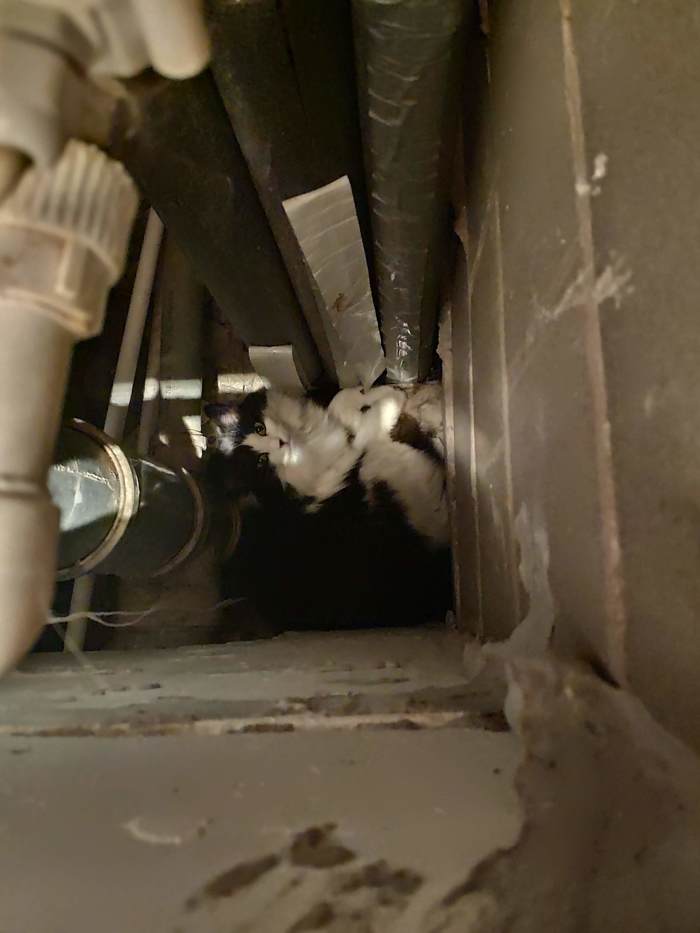 � � ���� �����-���������