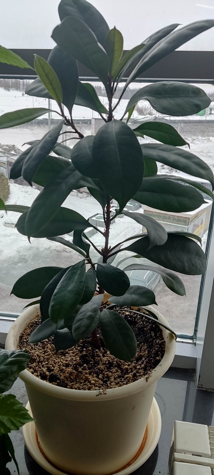 ����� ����� �� �����