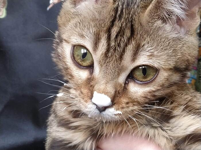 Веришь или нет?