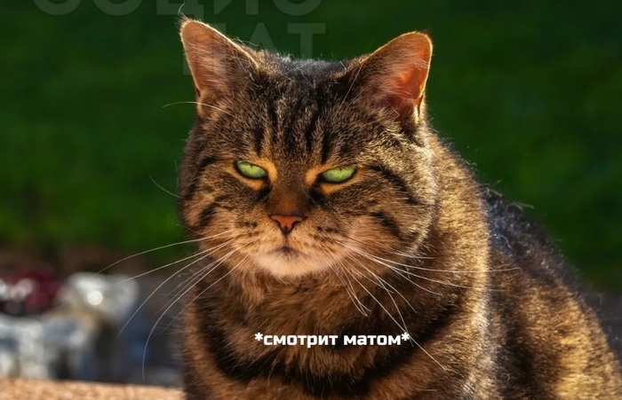 О ситуации в мире