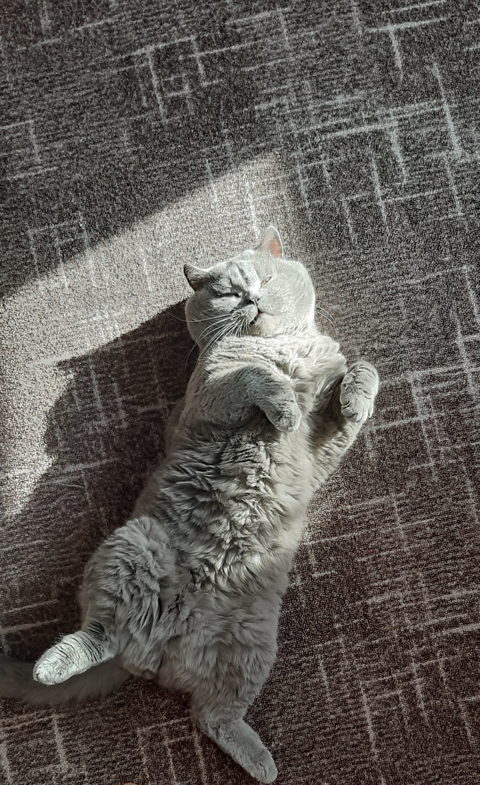 Ну и я не отстану