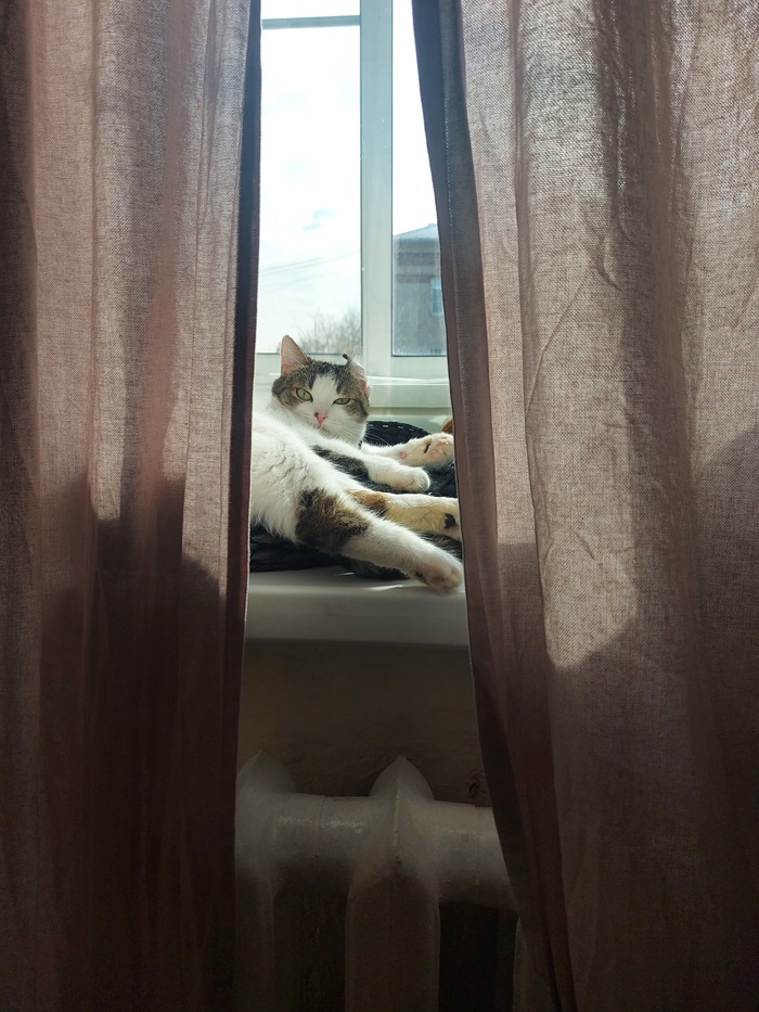 ������ ������ ���!