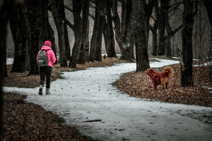 Walk - My, Travels, Relaxation, Nikon d90, beauty, Dog, Walking, Bryansk, The photo