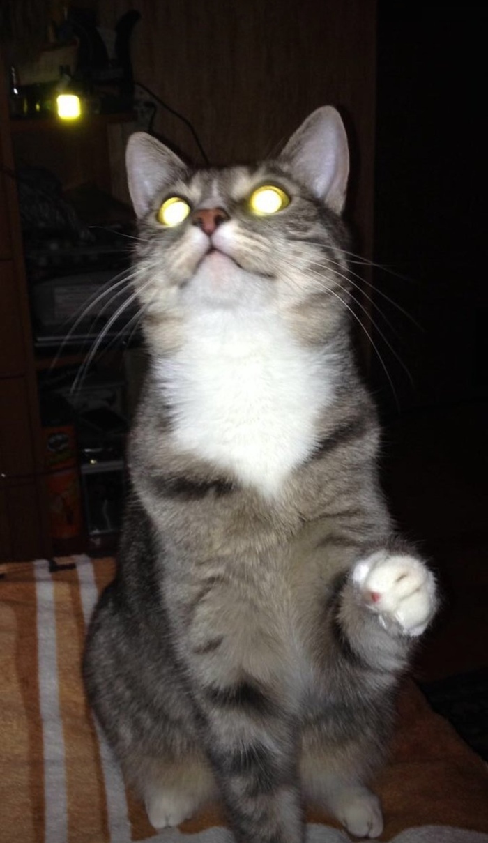 Моя Кисяндра!