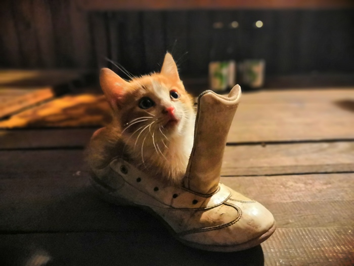       -   , ,   