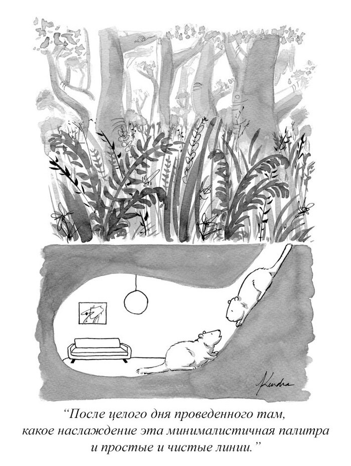     , The New Yorker, 