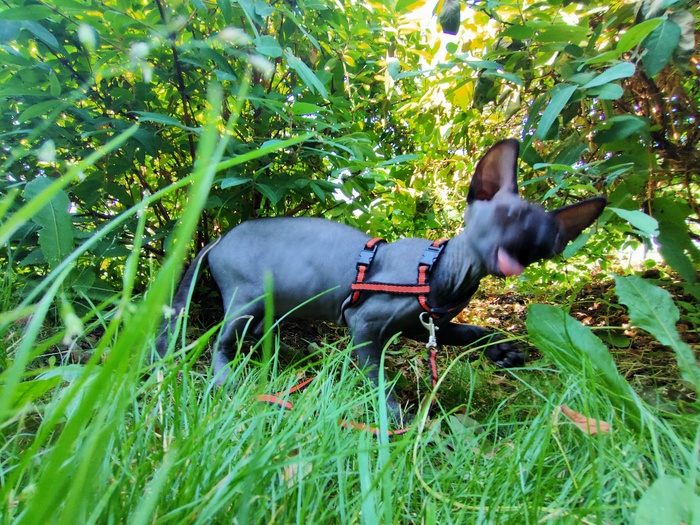 ����� �� ���� ��� ������� ���� - �� ����������