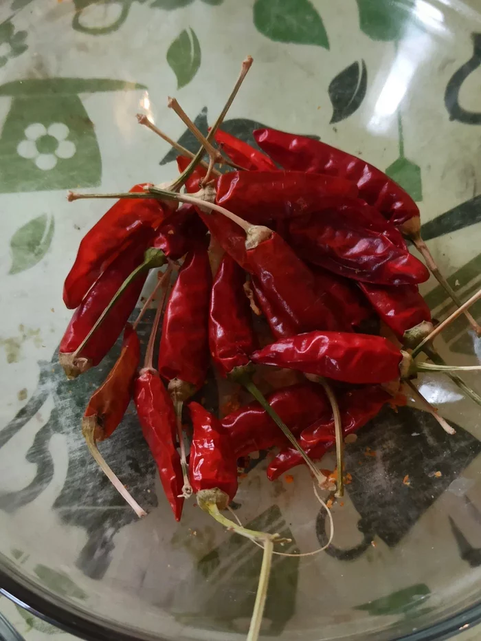 Sharp in a sharp 2022 - My, Pepper farming, Pepper, Growing, Hot peppers, Houseplants, Longpost