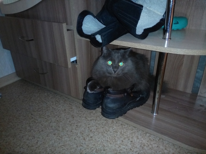 ��� � �������