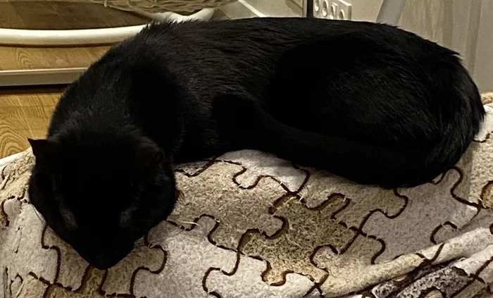 Arrow - My, Black cat, Pareidolia, cat