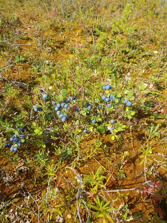 �������� �� ������. ���� 2021�