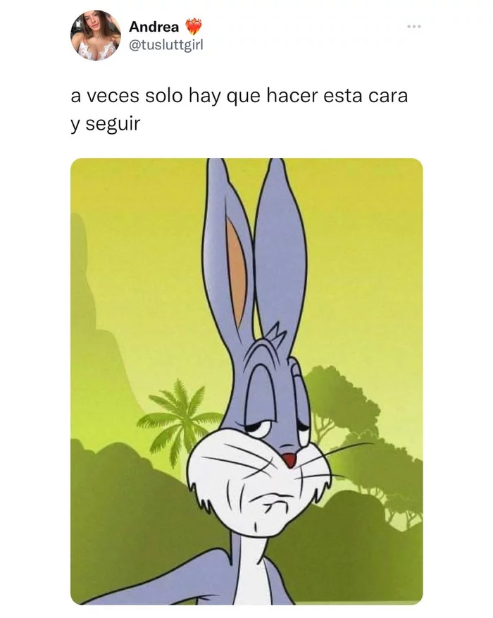 Sometimes you just need to make a face like this and continue - Rabbit, Face, Emotions, Humor, Translation, Spanish language, Screenshot