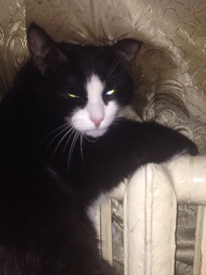 ���� ������������