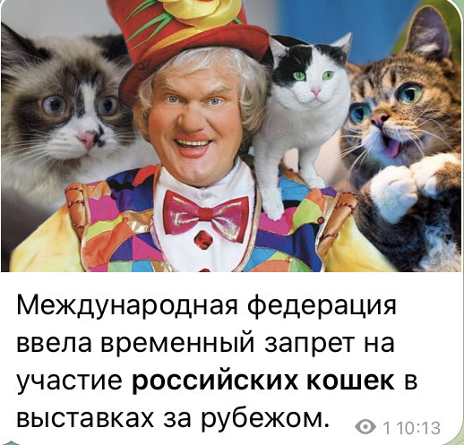 The worst fears have come true!!! - cat, Sanctions, Kuklachev, Picture with text