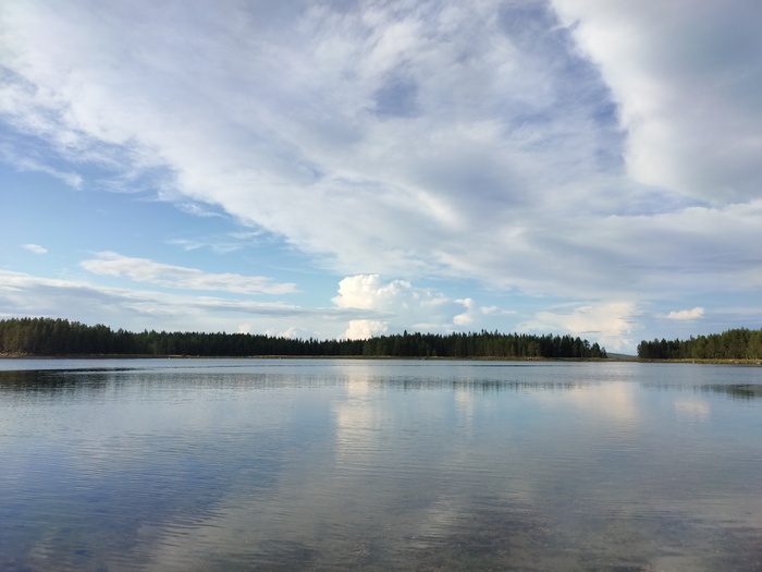 Северное лето Лето, Мобильная фотография, Грибы, Север, Белое море, Лес, Природа России, Длиннопост, Тихая охота