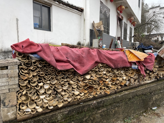 Спецпроект Китайская деревня. Чайный колхоз 2022 Деревня, Китай, Китай наизнанку, Мат, Длиннопост