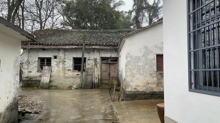 Спецпроект Китайская деревня. Чайный колхоз 2022 Деревня, Китай, Китай наизнанку, Мат, Длиннопост