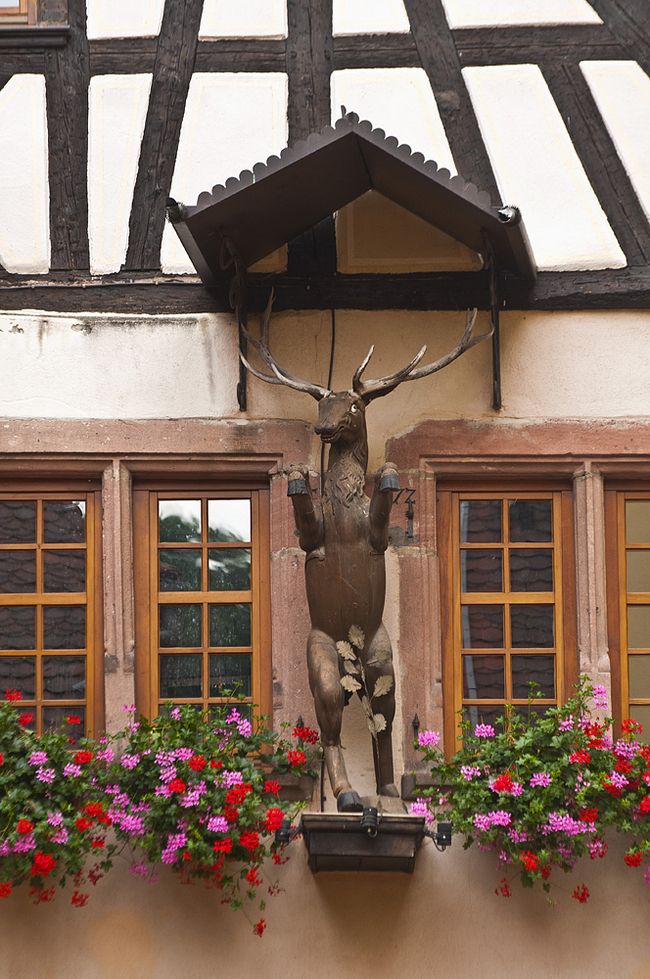 Riquihr, France - My, Alsace, France, Statue of Liberty, Travels, The photo, Europe, Grape, Riesling, Wine, Winemaking, Vineyard, Architecture, Longpost