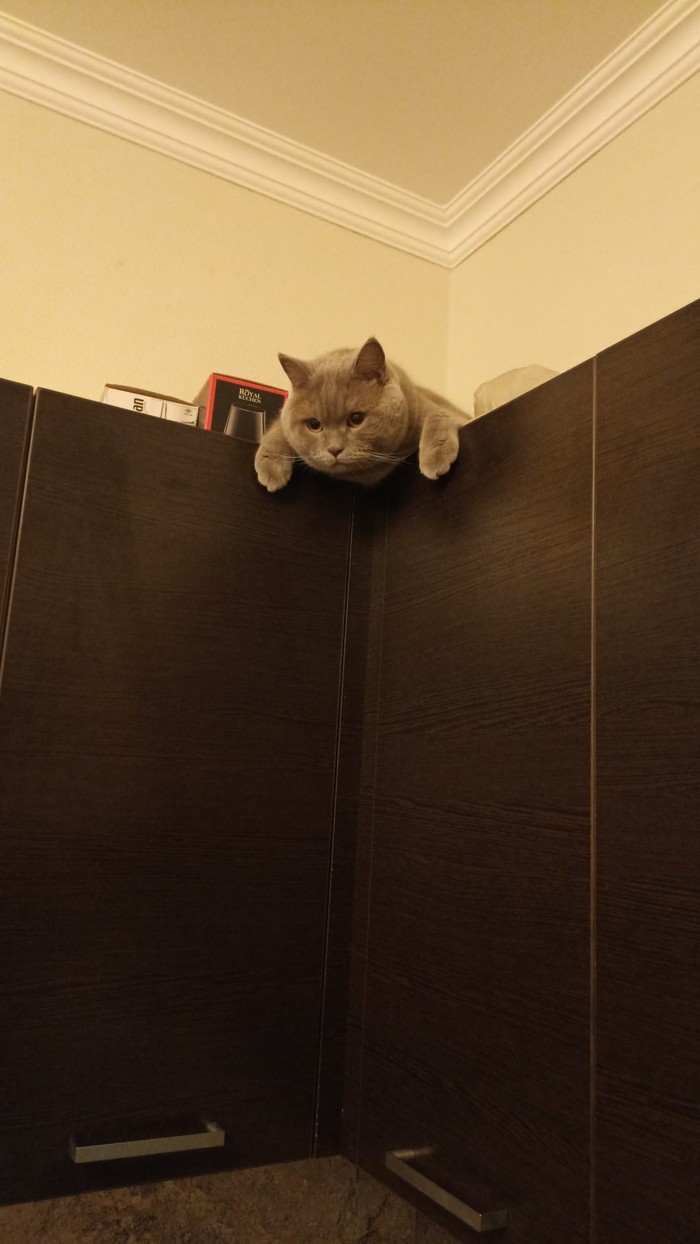   , , , ,  ,   , 