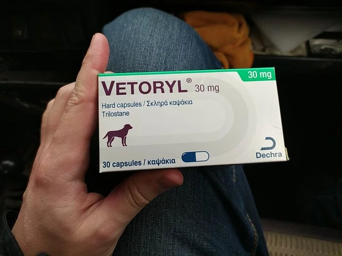 Looking for Vetoryl - I am looking for medicines, Help, Veterinary, No rating, 