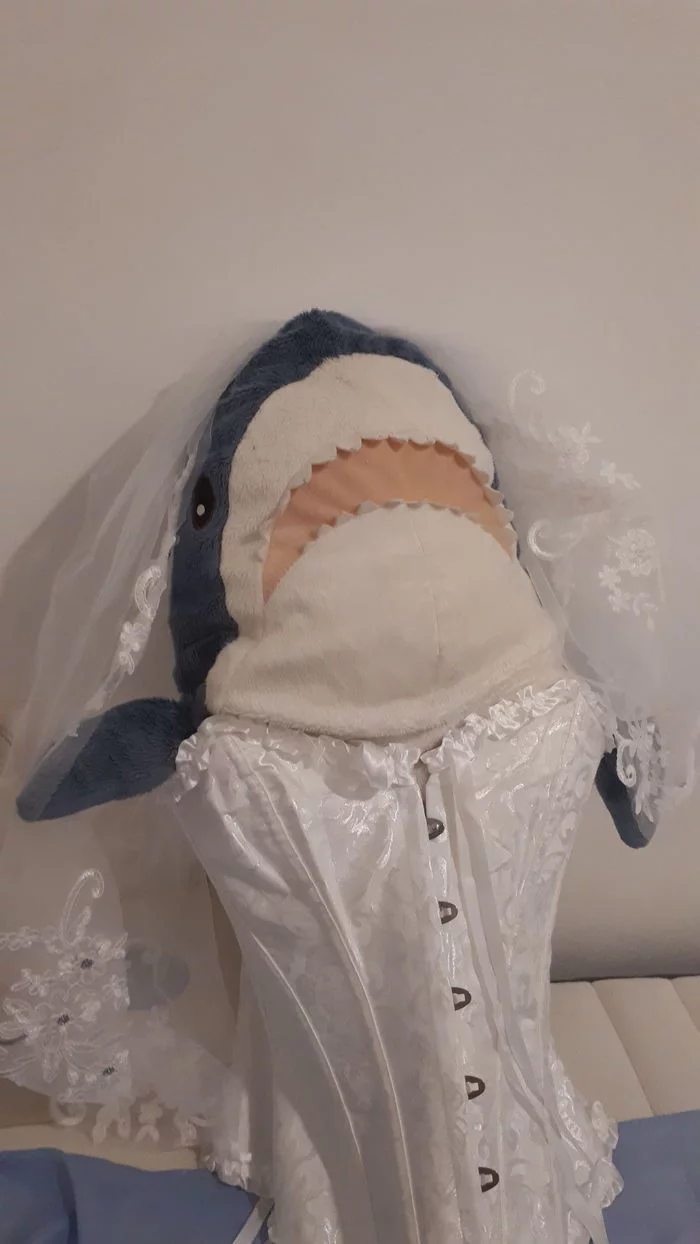 The most important event in the life of every... Sharks - My, IKEA, Blohey, Wedding Dress, Wedding, 