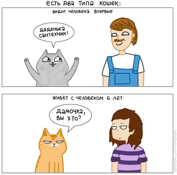 Vital) - cat, Dog, Humor, Longpost, Comics, 