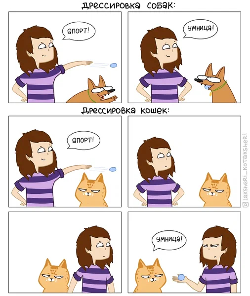 Vital) - cat, Dog, Humor, Longpost, Comics, 