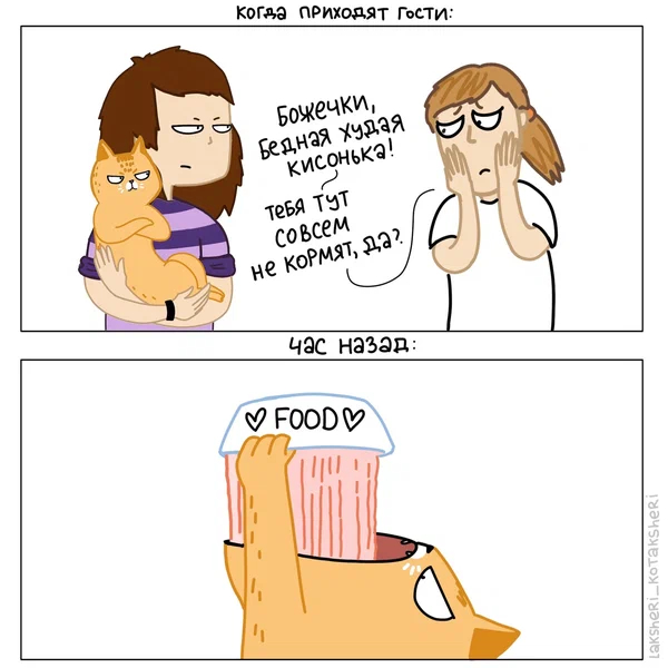 Vital) - cat, Dog, Humor, Longpost, Comics, 