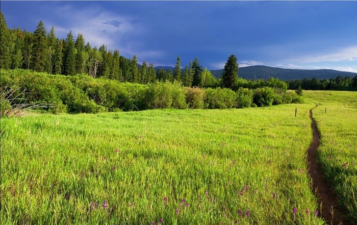 � ����� ���� ������