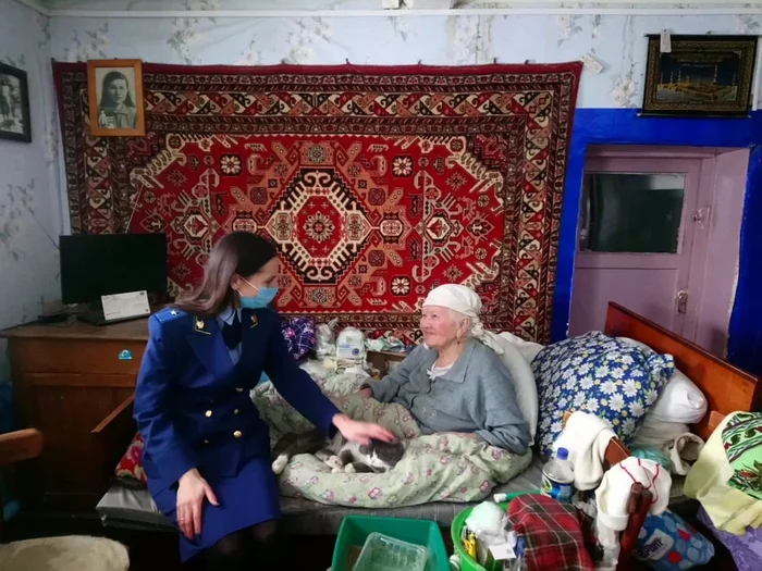 A veteran from Tatarstan complained to Putin about the lack of a toilet in the house, and a criminal case was opened against her daughter. - Tatarstan, Veteran of the Great Patriotic War, Prosecutor's office, Ministry of Internal Affairs, Direct line with Putin, Living conditions, Leaving in danger, Suddenly, Onf, Family, 