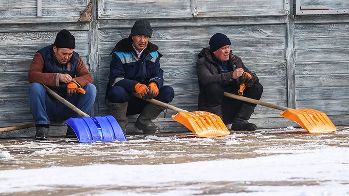 Our partners in Central Asia will understand. The HRC proposed to ban migrants from working in Russia - Migrants, SPC, Russia, Ban, Text, 