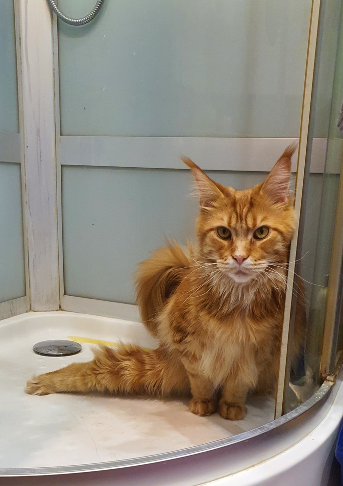 ������� �����������