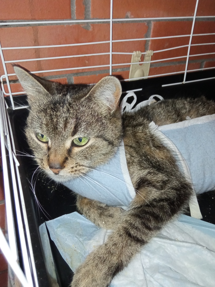   ,            .   3-5    .   λ