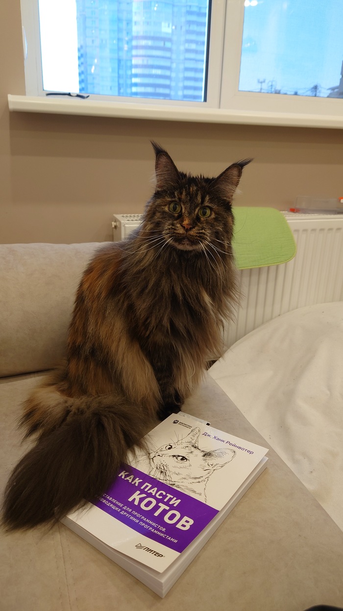 ��� �������� ��������