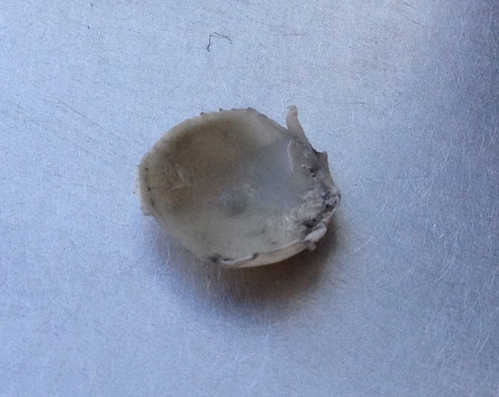 Ответ на пост «Хроники русского инженера. Запись №0000008»