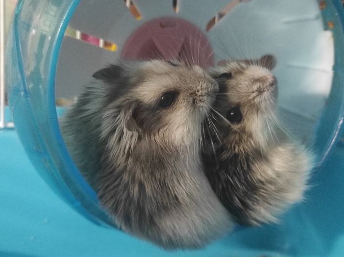 ������ � �����