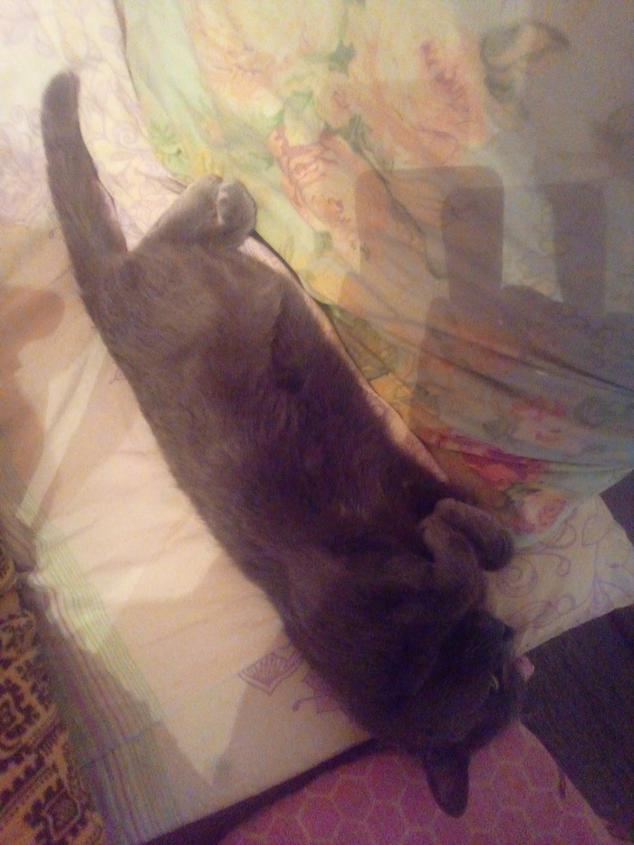  - ))) ,   ?, , ,  
