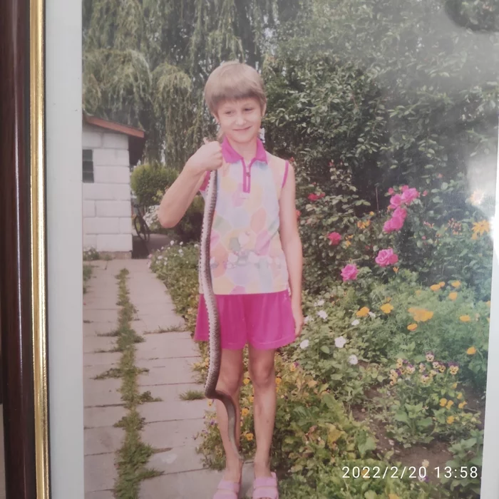 Childhood and my uzhik - My, Childhood, Brest region, Already, Snake, 