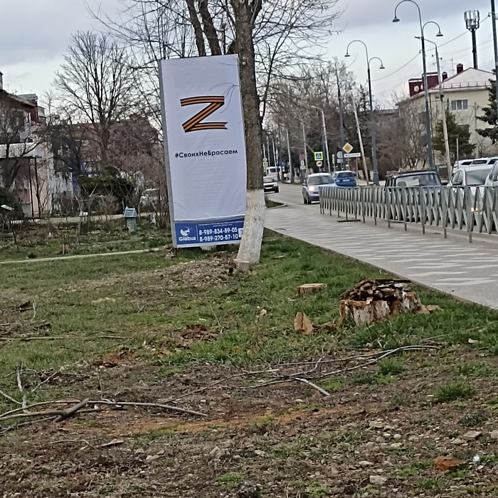 Z , 