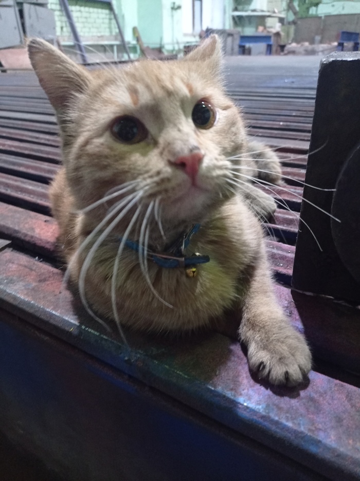 Работник месяца