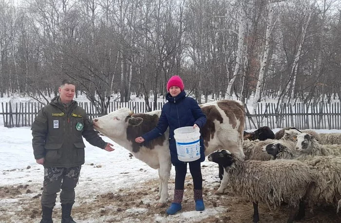 Жительнице Приморья компенсировали ущерб, причинённый амурским тигром - Амурский тигр, Большие кошки, Семейство кошачьих, Хищные животные, Тигр, Возмещение ущерба, Дикие животные, Приморский край, Компенсация, 