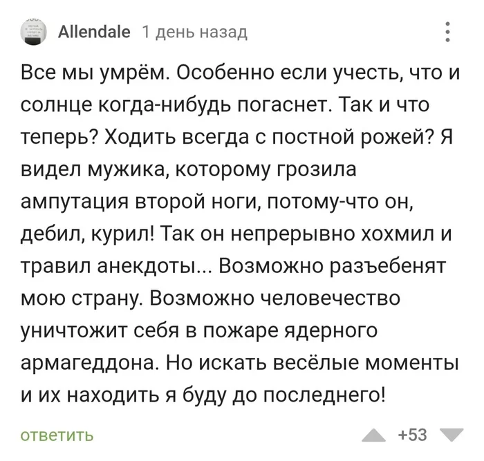 Так выглядит оптимизм 2022 года - Оптимизм, Веселье, 2022, Юмор, Комментарии на Пикабу, Скриншот, Мат, 