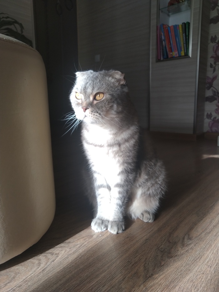 ��������� ����� ��� � �����)))