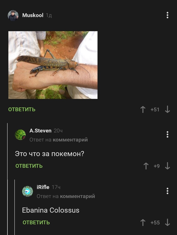 Энтомолог