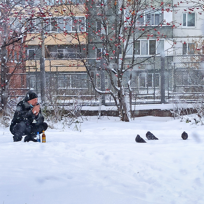 Рябина красная. Пивас и голуби