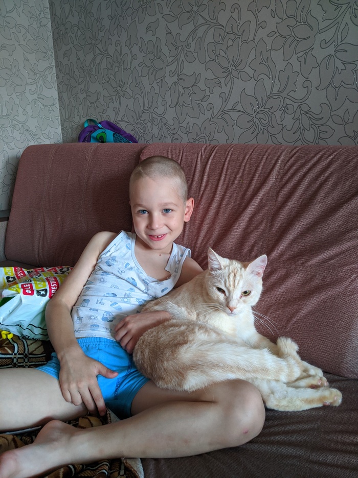 Вот это кот, всем котам кот