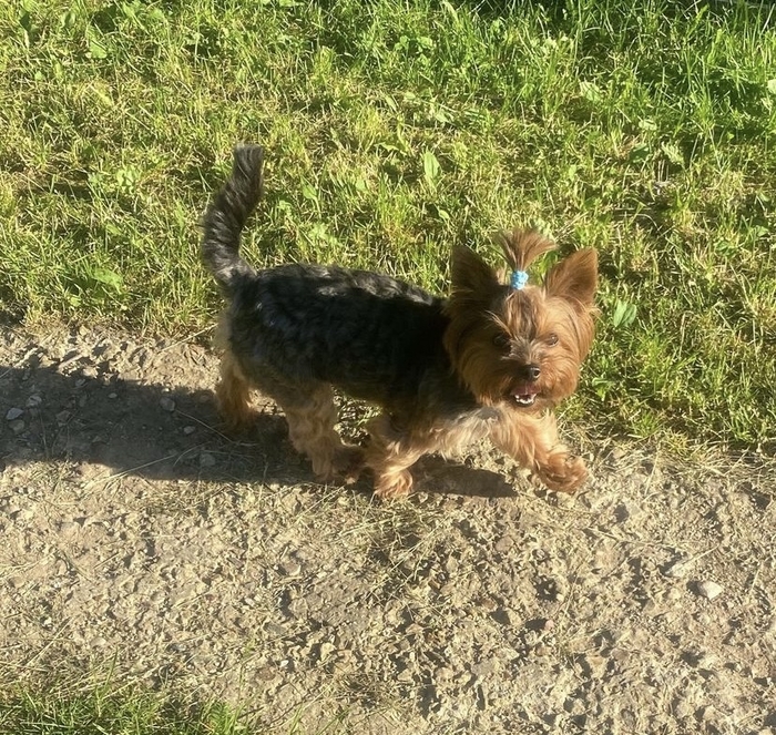 ��� �� �������� �������